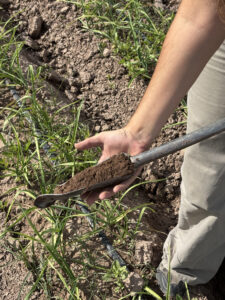 Servicios Agronómicos